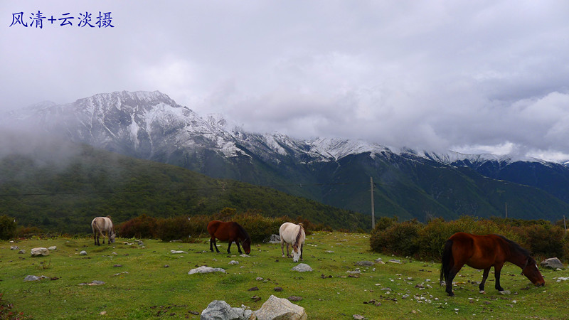 p1020828.jpg
