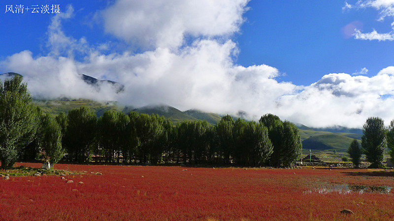 p1030217.jpg