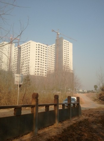003.jpg