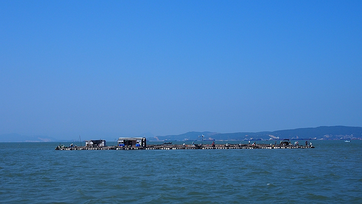 62.jpg