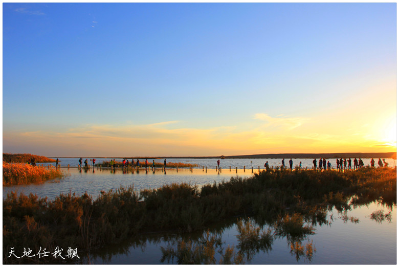 夕阳下的居延海_副本.jpg