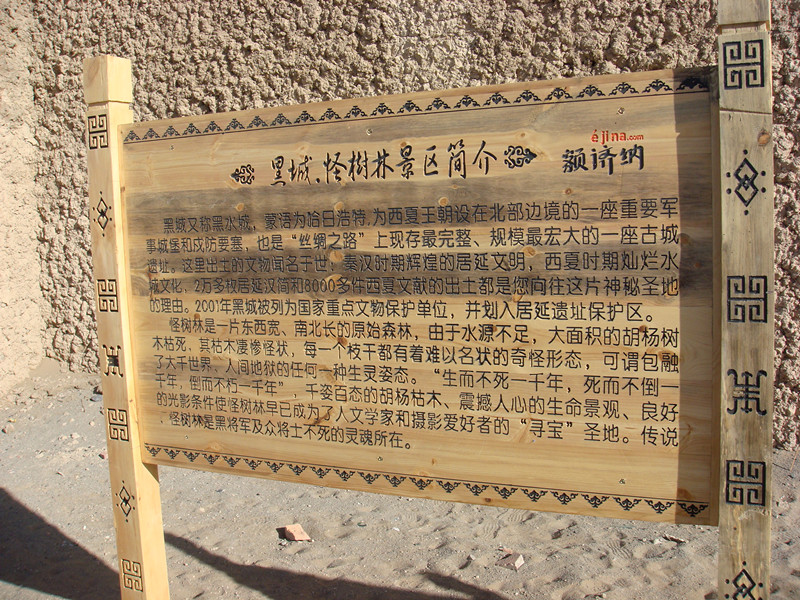 dsc08437_����.jpg