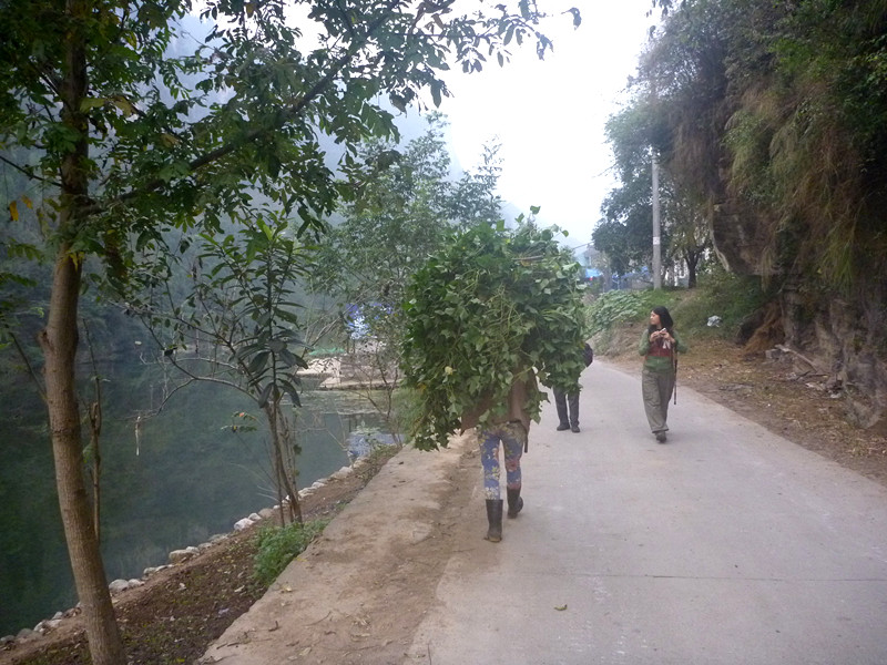 p1220578_����.jpg