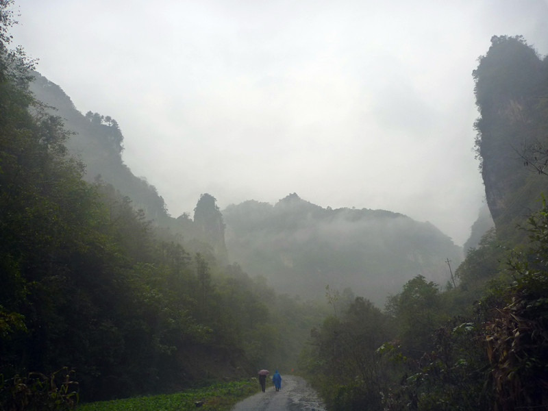 p1220616_����.jpg