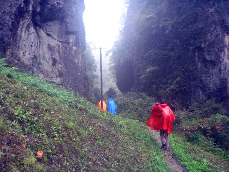 p1220626_����.jpg