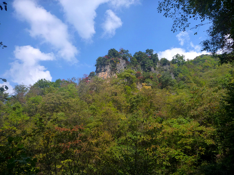 p1220746_����.jpg