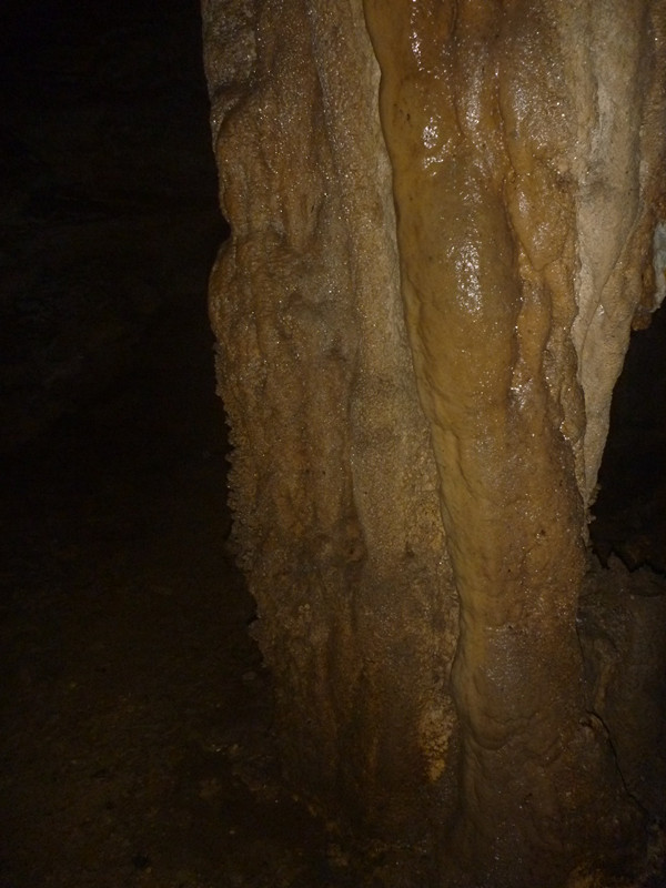 p1220813_����.jpg