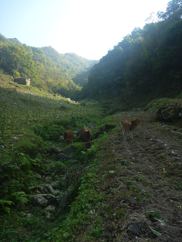 p1220819_����.jpg