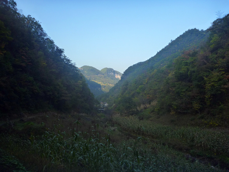 p1220821_����.jpg