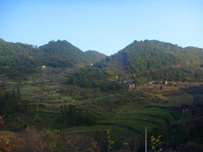 p1220825_����.jpg