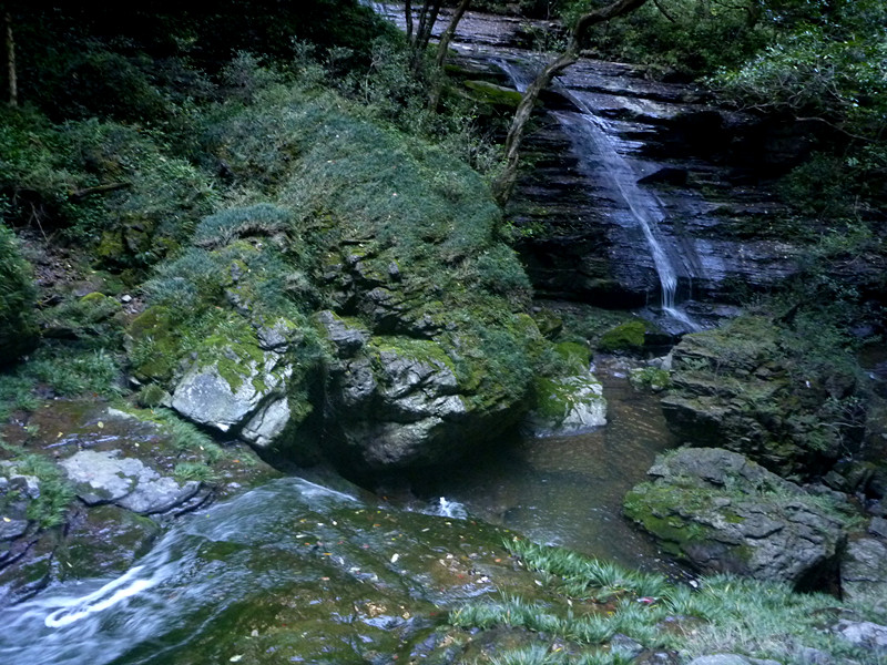 p1220786_����.jpg