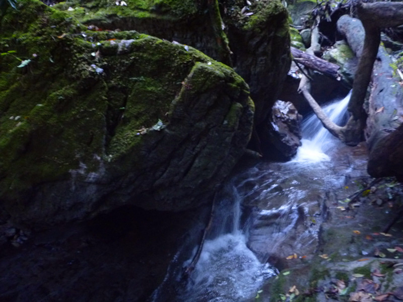 p1220791_����.jpg