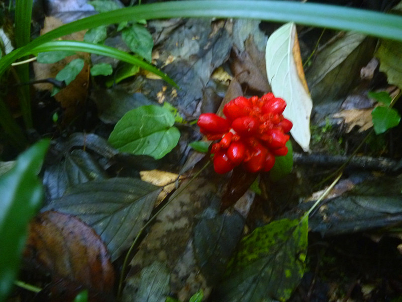 p1220795_����.jpg