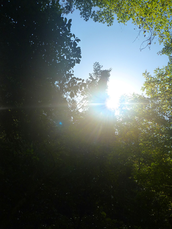 p1220797_����.jpg