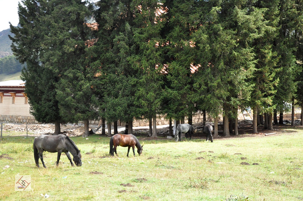 dsc_0573.jpg