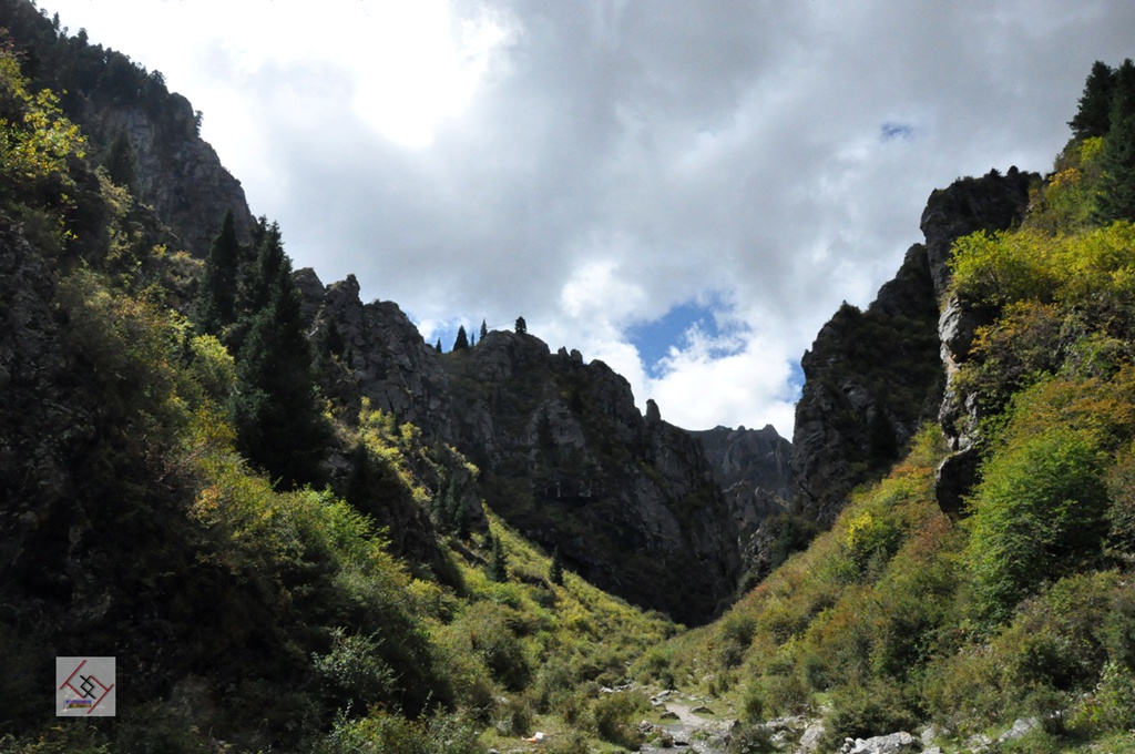 dsc_0620.jpg