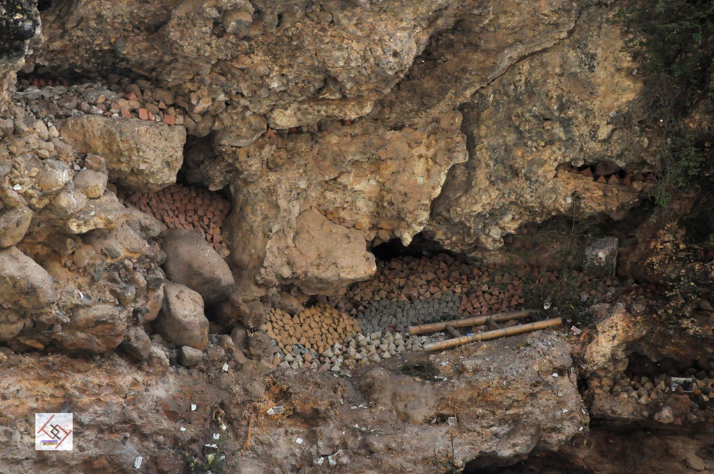 dsc_0663.jpg