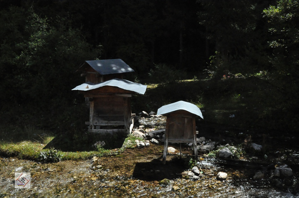 dsc_0685.jpg