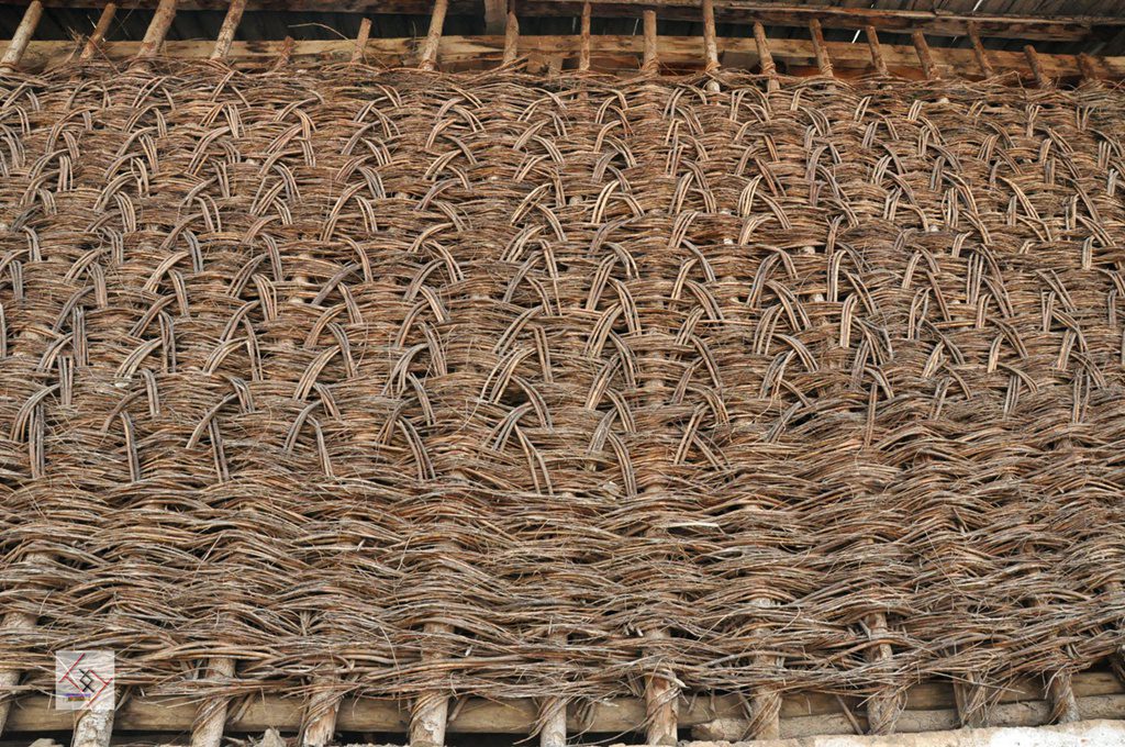 dsc_0737.jpg