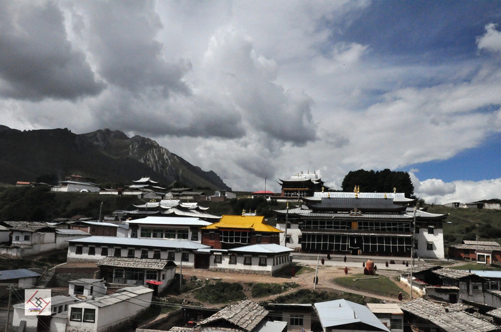 dsc_0773.jpg