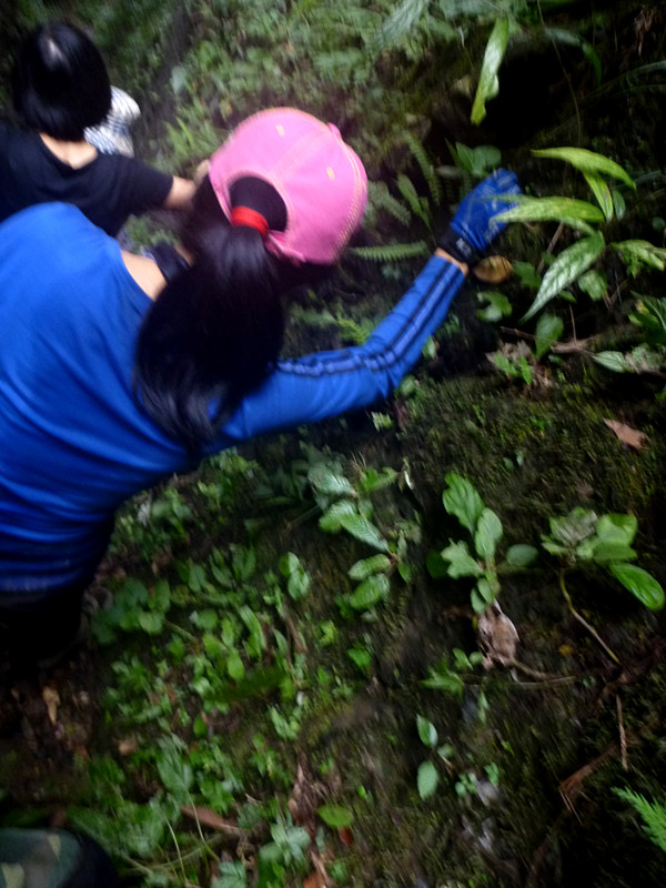 p1220886_����.jpg