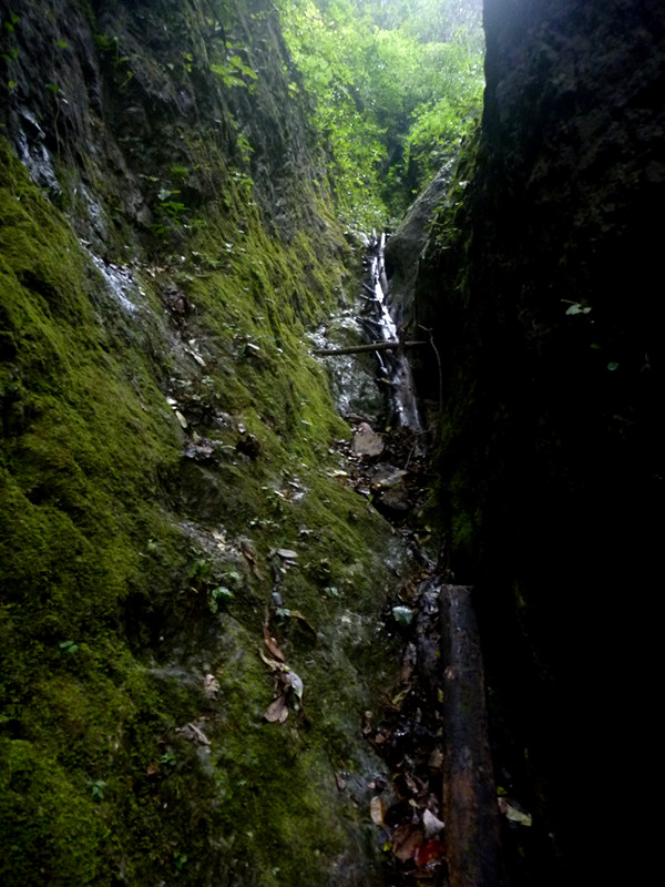 p1220889_����.jpg