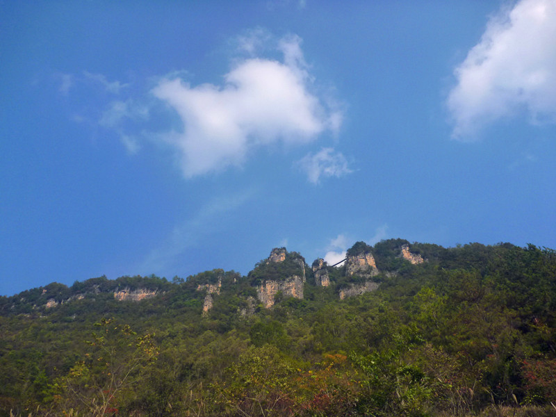 p1220926_����.jpg