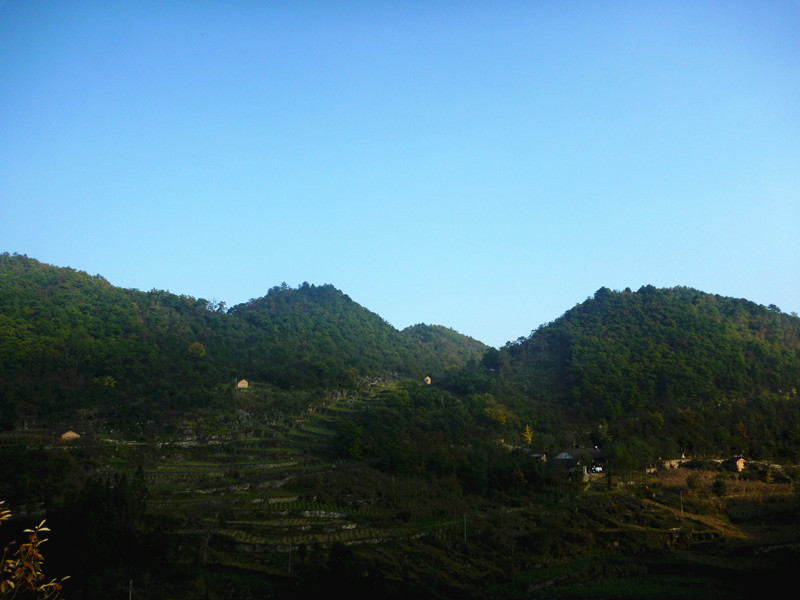 p1220826_����.jpg