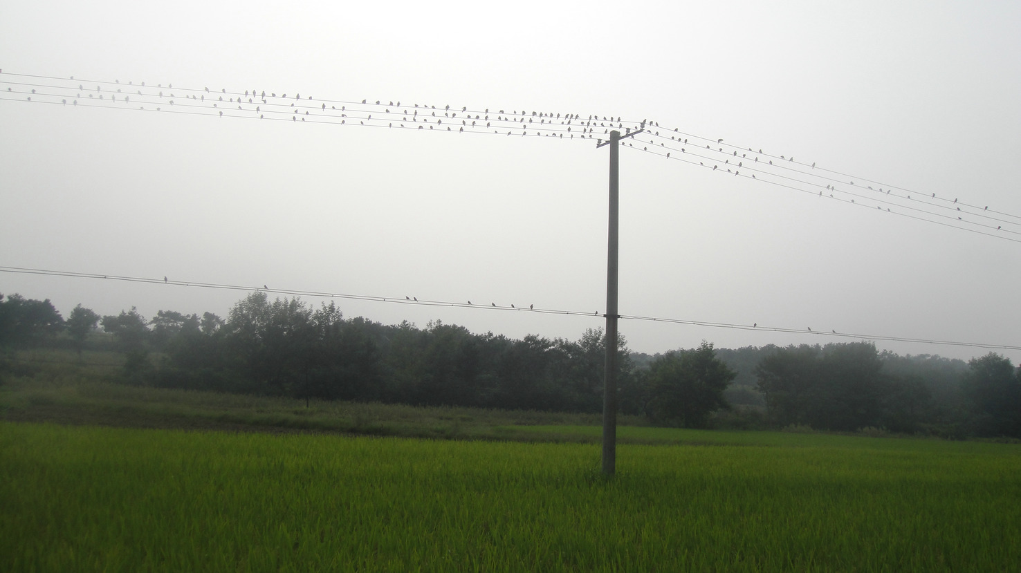 dsc04735.jpg
