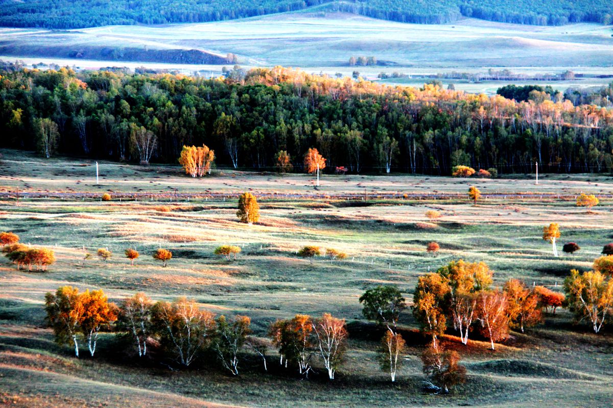 img_6962.jpg