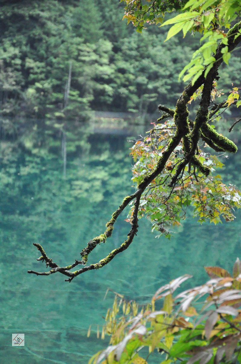 dsc_0070_����.jpg