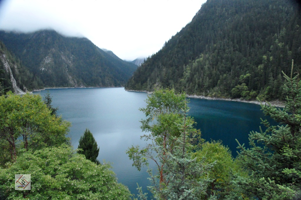 dsc_0910.jpg