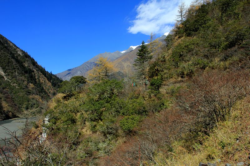 img_8669.jpg