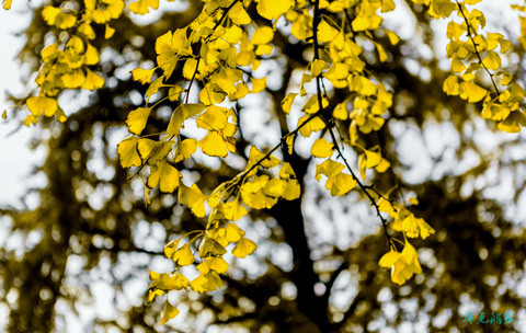 _mg_3634-编辑.jpg