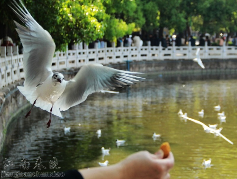 neo_img_img_3589.jpg
