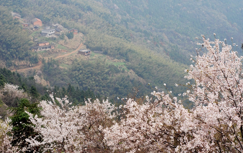 dsc_3906_����.jpg