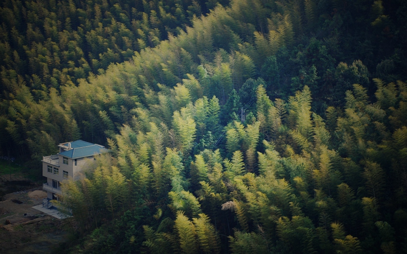 dsc_3938a_����_����.jpg
