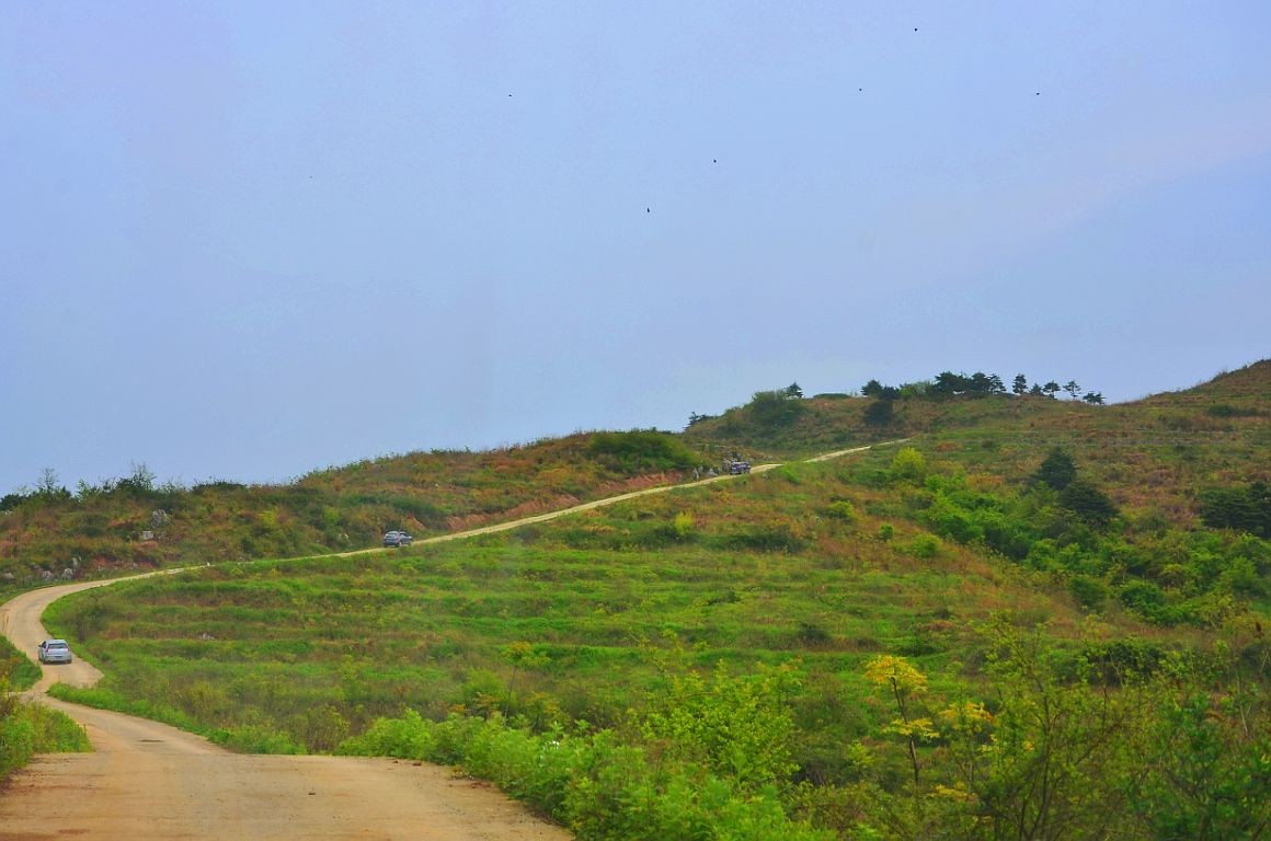 qqͼƬ20140506141021.jpg