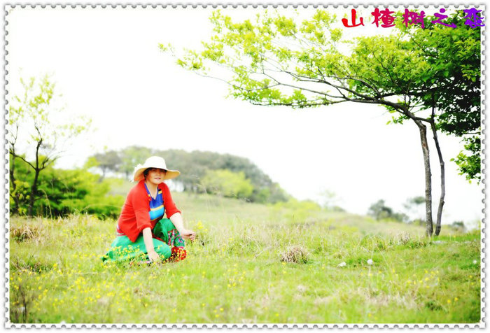 dkwp4zn3hgaa&bo=rqoaaj8gqaqbahy!&rf=viewer_4.jpg