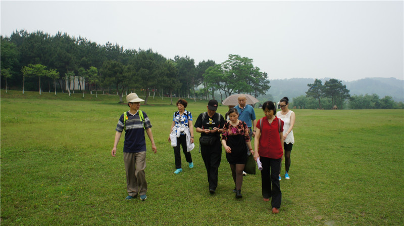 dsc08408.jpg