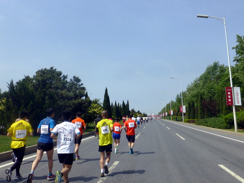 p1210276.jpg
