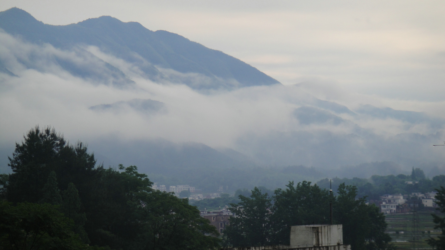 dsc06285.jpg