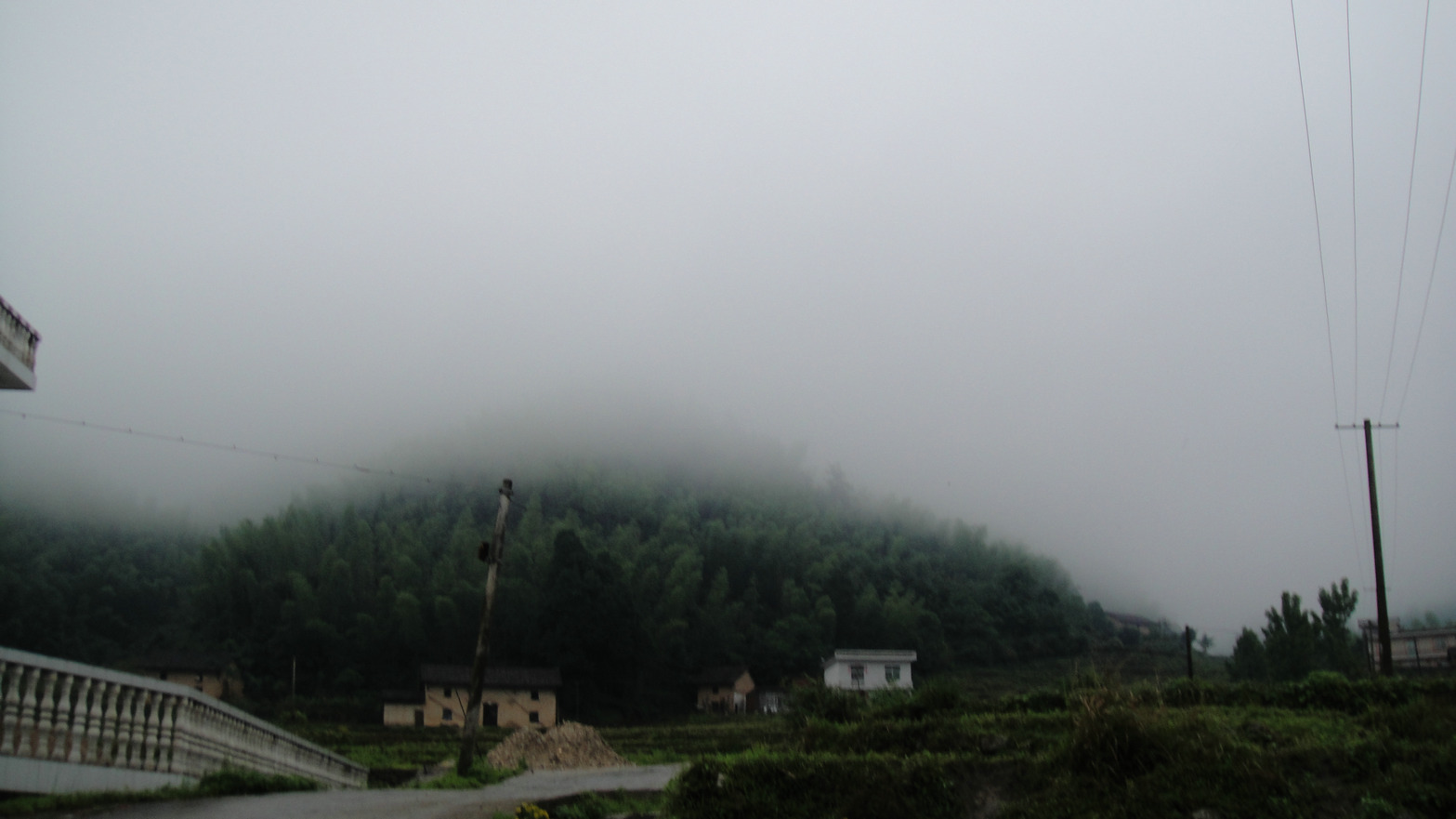 dsc06325.jpg