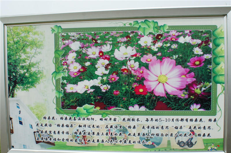 dsc08355_����.jpg