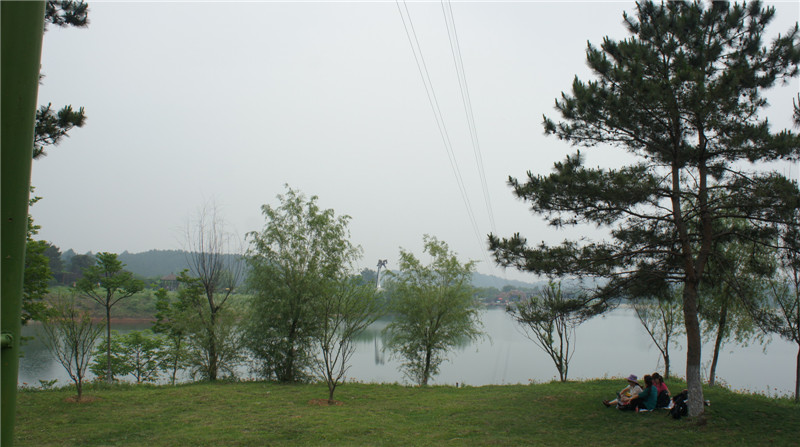 dsc08403.jpg