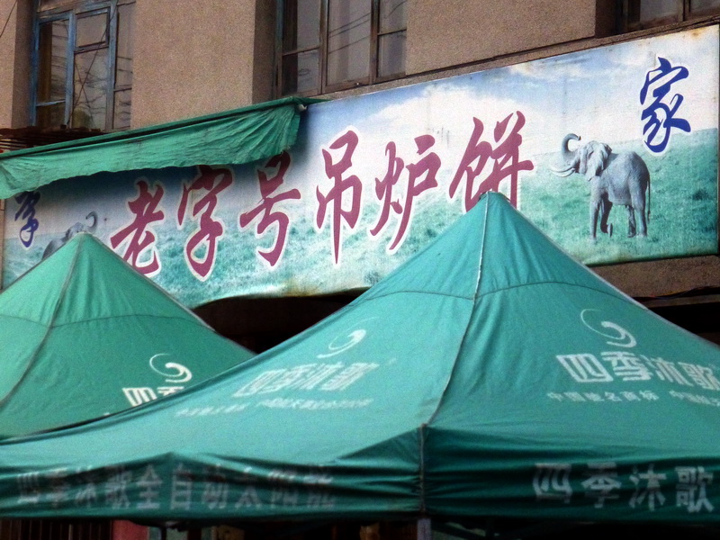 p1210472.jpg