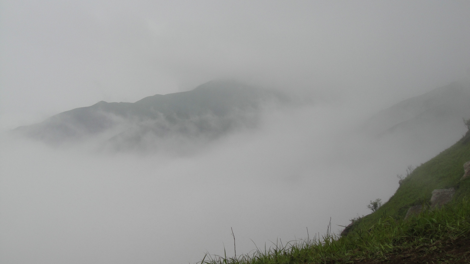 dsc06524.jpg