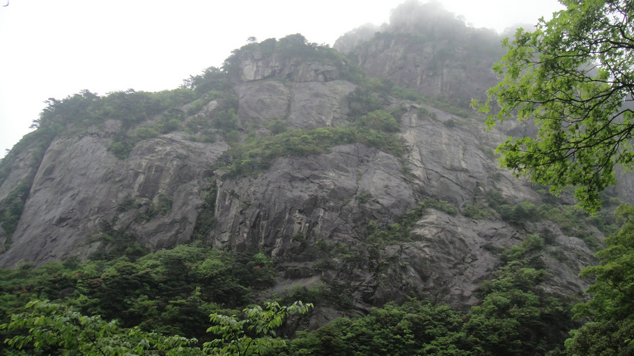 dsc06565.jpg