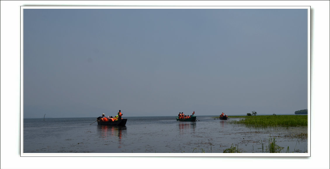 dsc_3720.jpg