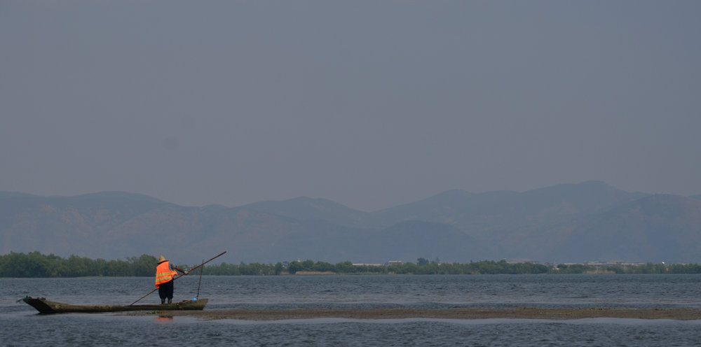 dsc_3767.jpg